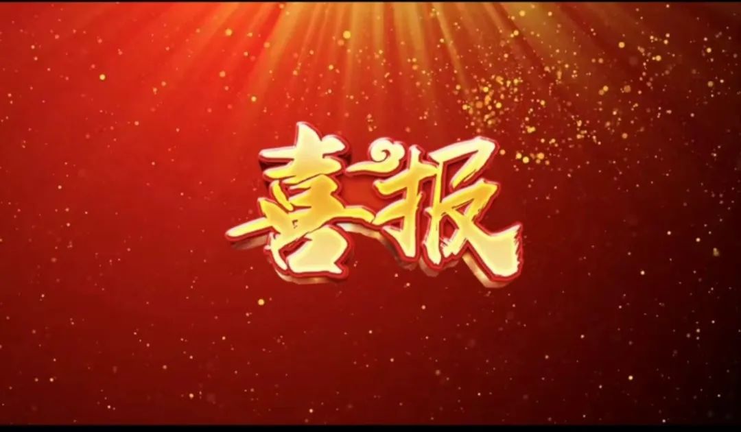 荣誉 | 388vip太阳集团官方网站荣获&ldquo;2023年杜着秀合作同伴奖，共建共享共赢的范例&rdquo;